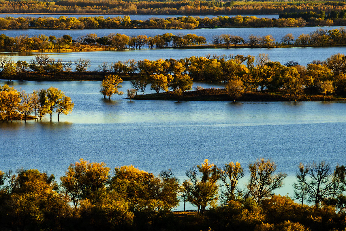 向海湿地保护区位于白城地区 a target="_blank" href="/item/通榆县