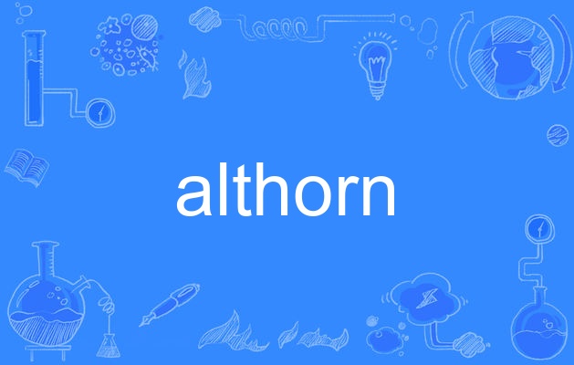 英语单词,主要用作名词,作名词时译为"高音萨克斯;高音喇叭"