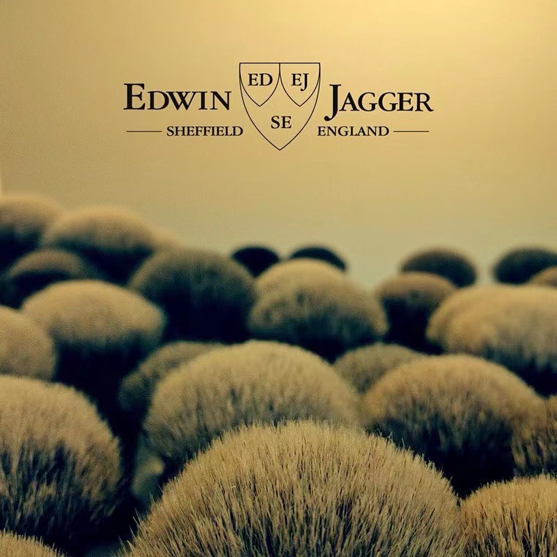 埃德温·贾格尔