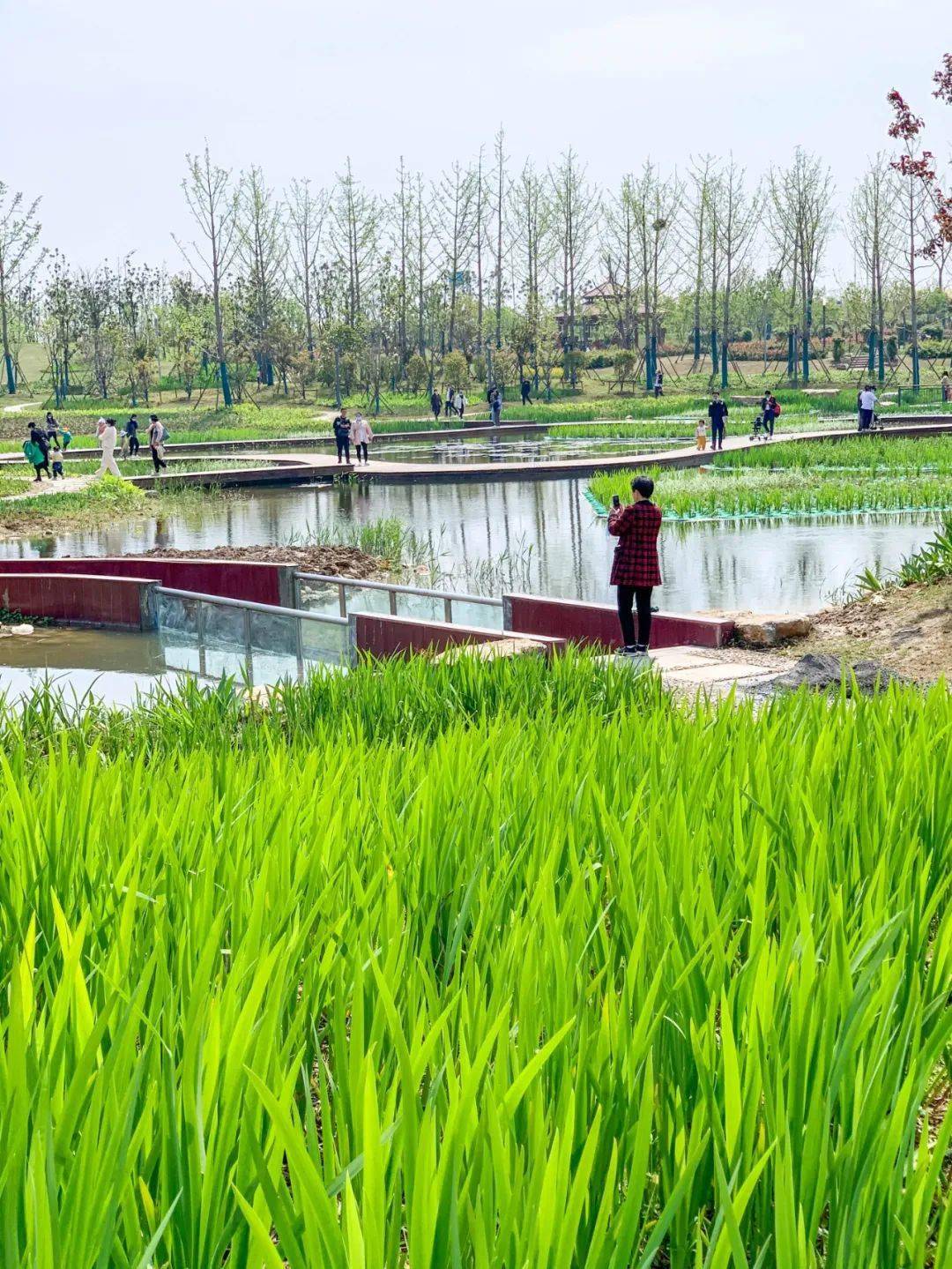  p>阜阳植物园位于阜阳市城南新区东南角,北起竹园路,向东,向南至京九