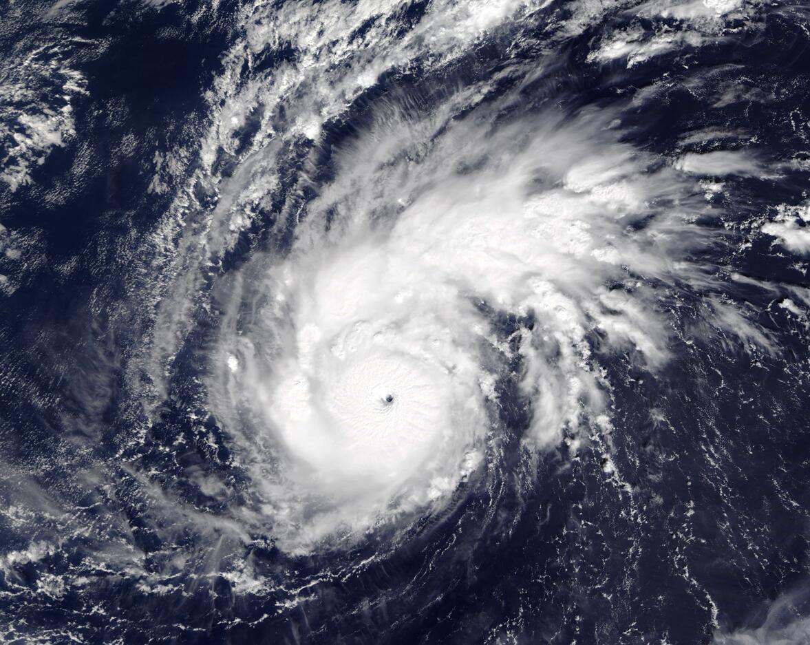  p data-id="gnbwksikt0">超强台风天鹅(英语:super typhoon goni
