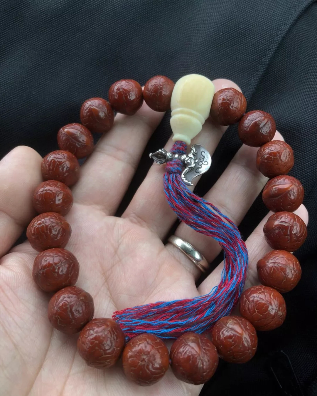 凤眼挑选丨什么样的凤眼菩提值得玩？_百科TA说