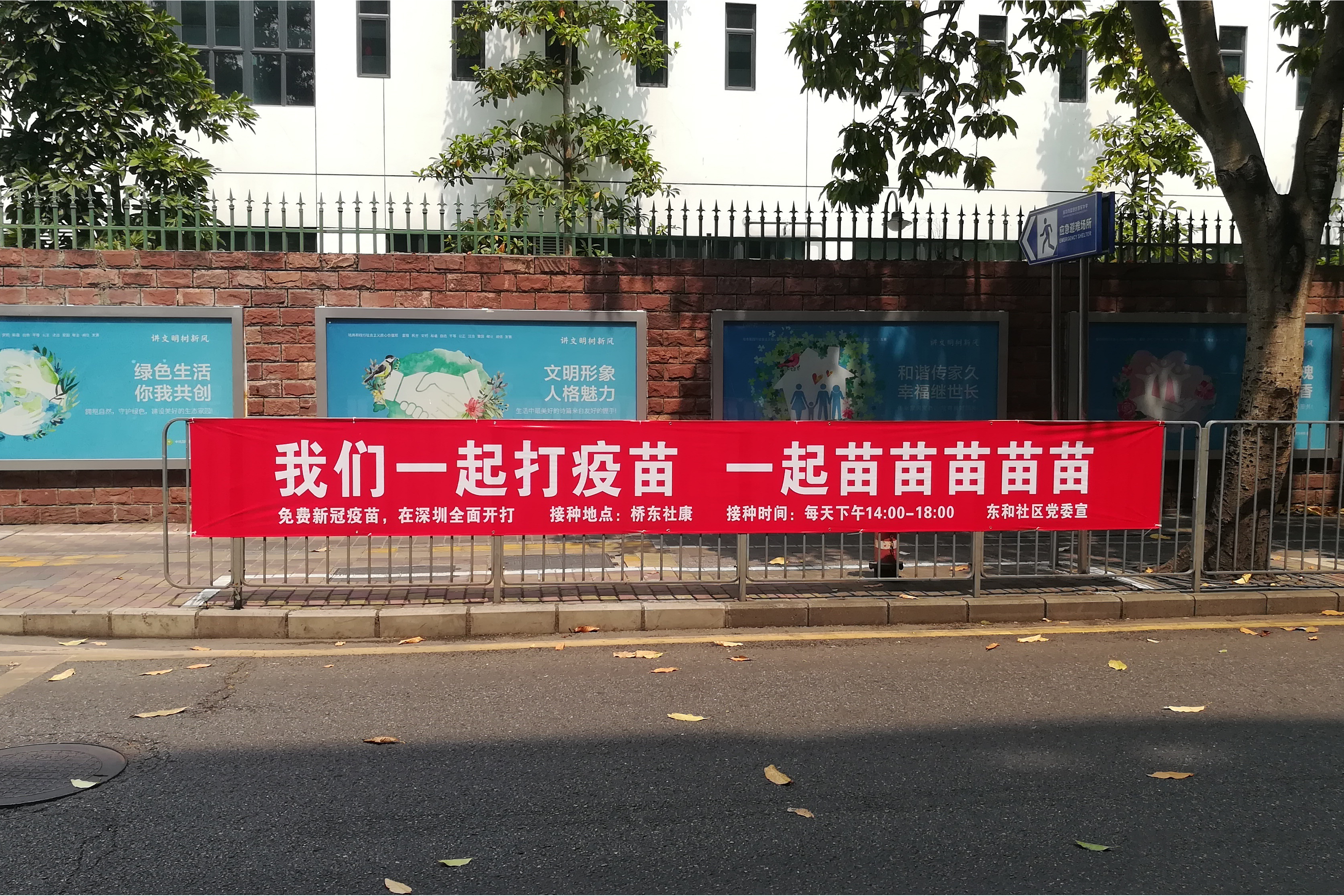 一起"苗苗苗苗苗"