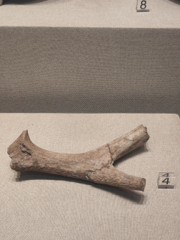 溧阳博物馆内藏品