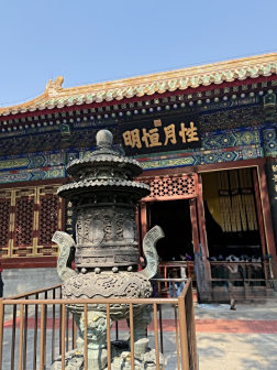 国家植物园 凯西娘娘/摄