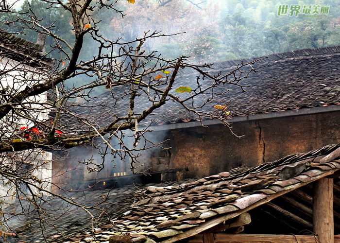  p data-id="gnzla965sc">仙人下棋位于黄山始信峰右侧,像是几个身着