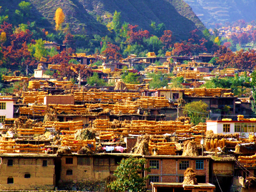  p>舟曲县,隶属于 a target="_blank" href="/item/甘肃省/684374"