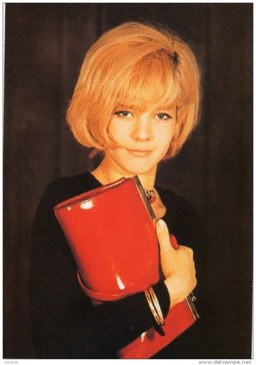  p data-id="gnb73w9plr">sylvie vartan是法国国宝级法国摇滚女歌手.