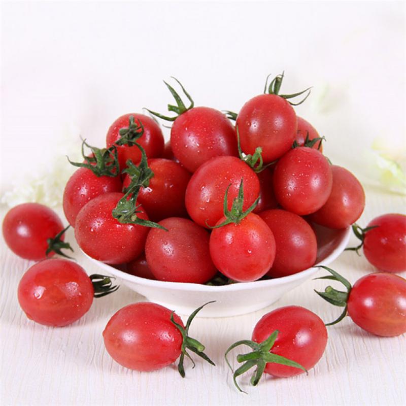 data-id="go0hrs9m89"> b>樱桃圣女果 /b>又名葡萄番茄,小西红柿,圣女