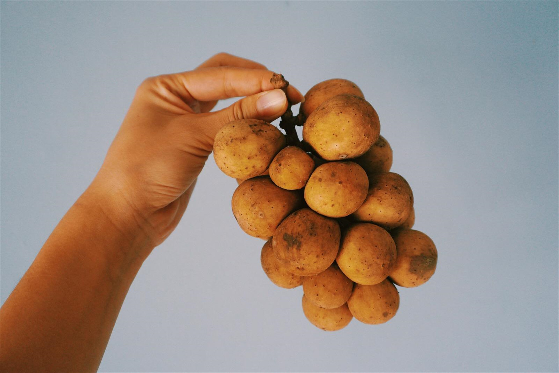  p data-id="gnwq8hq8ix">又名"杜古",兰桑内,龙宫果,香果,佛头果,一