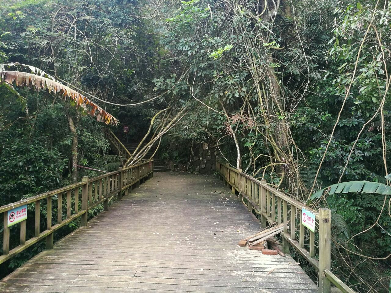 凤鸣谷森林公园