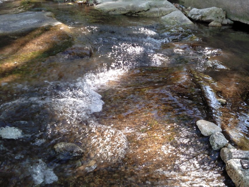  p>黑沟水库景区山林面积2万余亩,土地面积4000余亩.