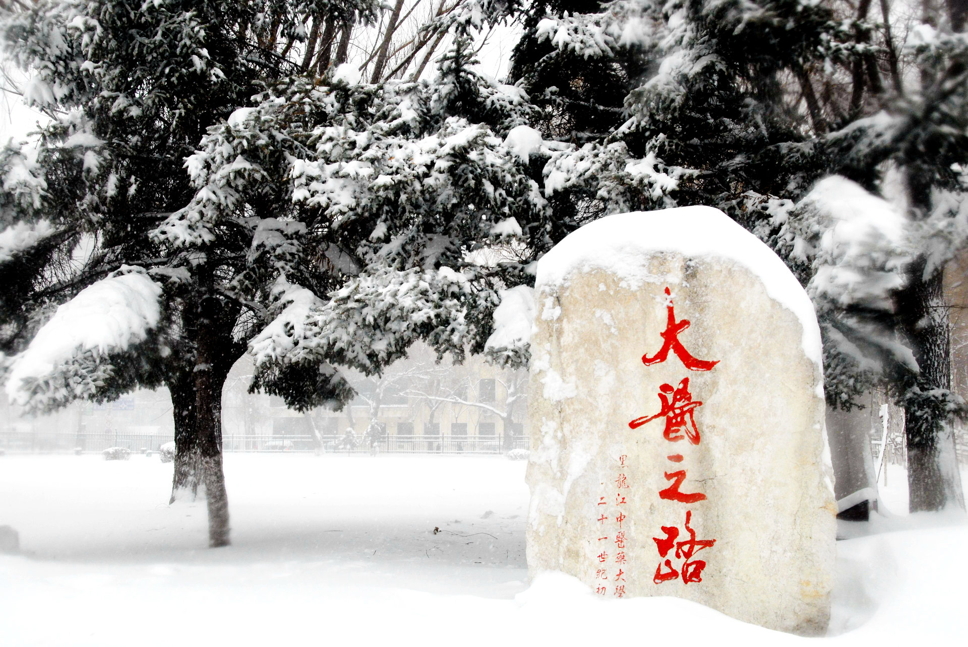 黑龙江中医药大学