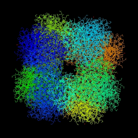 羧化酶/加氧酶(ribulose-1,5-bisphosphate carboxylase/oxygenase