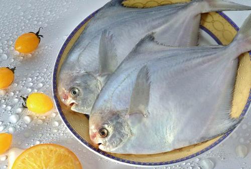  p>中国鲳(pampus chinensis)为 a target="_blank" href="/item/鲈形