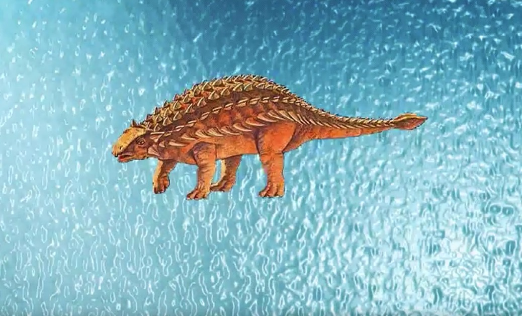  p>迈摩尔甲龙(属名:mymoorapelta)意为"迈摩尔