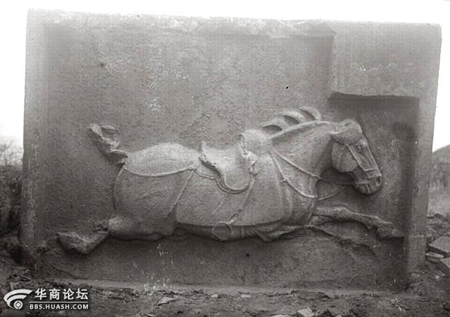 昭陵六骏