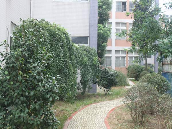 合肥市嘉和苑小学