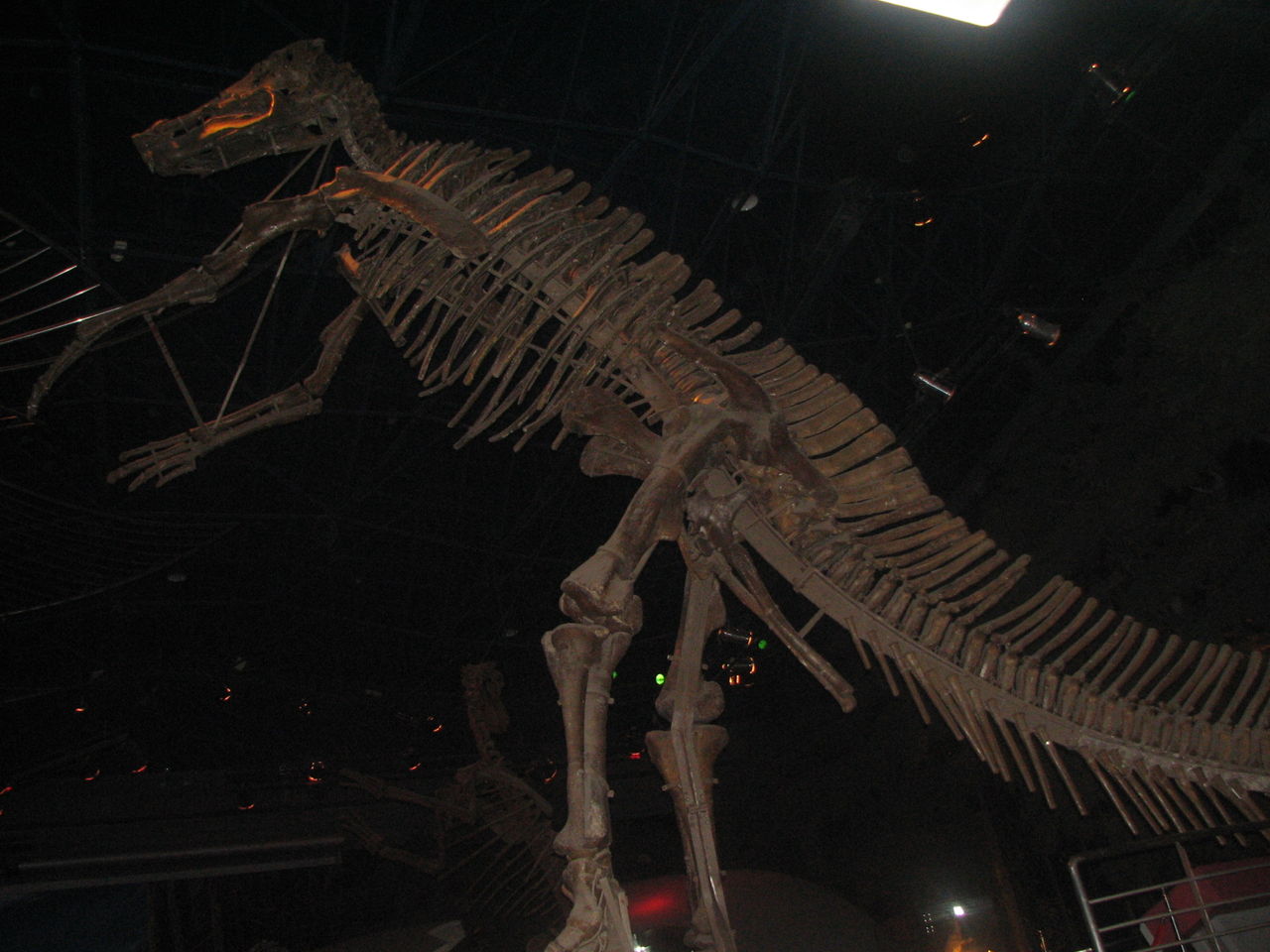  p>巨型山东龙是1964年8月在山东诸城吕标乡的龙骨涧发现,是迄今为止