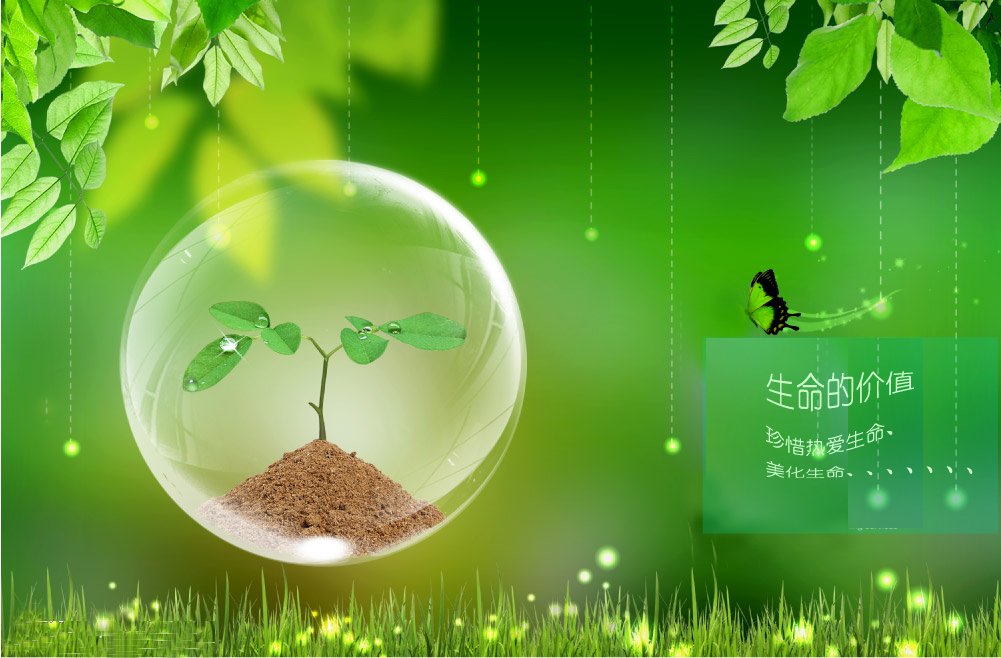 生命的意义
