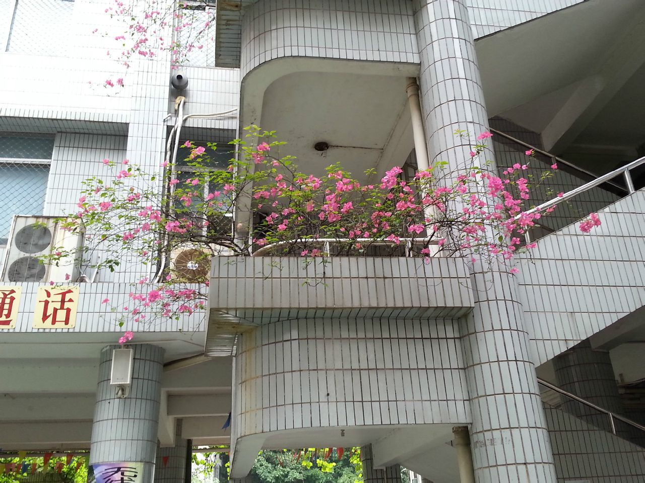 "> span class="ref" data-ctrid="tbzk0dlq7vfd">广州市第二十三中学