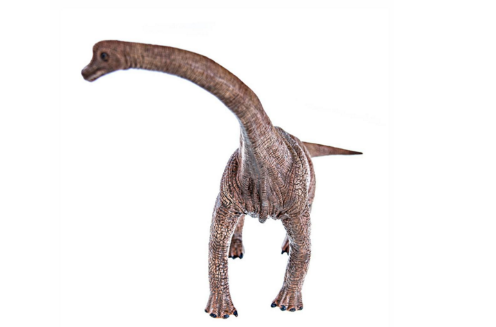  p>腕龙科(brachiosauridae)是 a href="#" data-lemmaid="12615373">