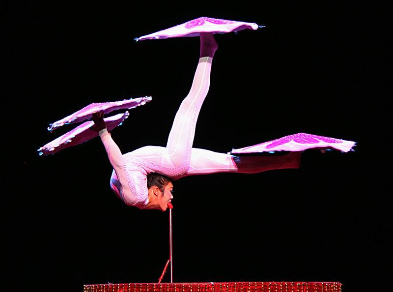  p>柔术软功又称软骨功或缩骨功,通俗称呼柔术.