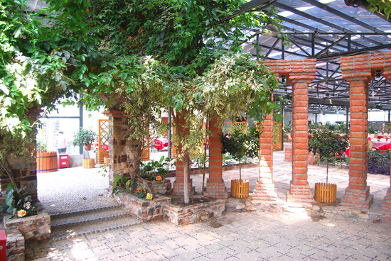 苏州太湖绿光开心农场