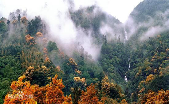 南平茫荡山自然保护区