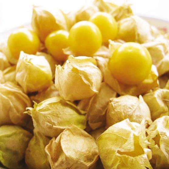 data-lemmaid="10298030">大安市 /a>特产,全国农产品地理标志