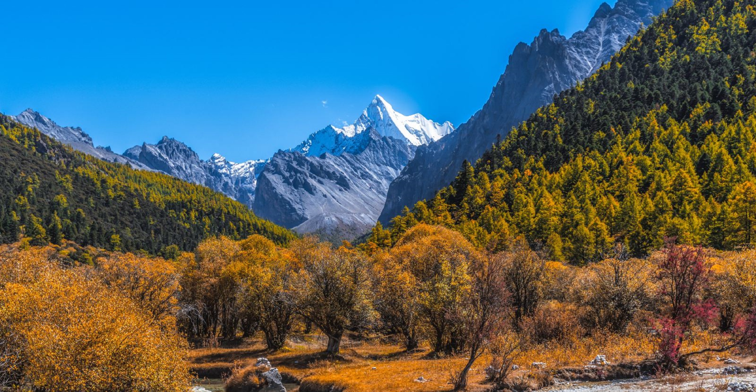  p>四川仙乃日(位于四川凉山州木里藏族自治县和甘孜州稻城县交界处