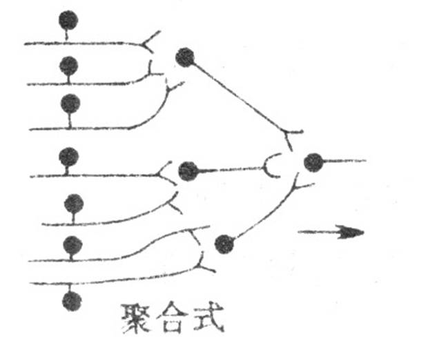 中枢神经元