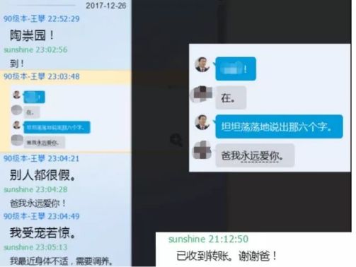 王攀（武汉理工大学系统科学与工程研究中心副主任）_百度百科