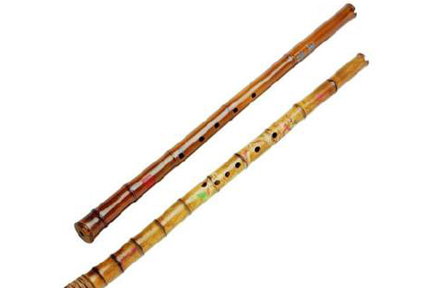  p data-id="gnbw7kuwuc">花舌是一种特殊的 a