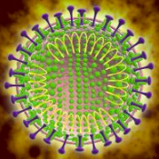 2020年新型冠状病毒疫情