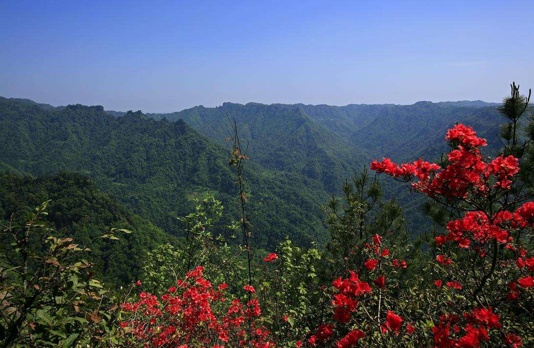  p>重庆市石柱土家族自治县黄水国家森林公园大风堡原始森林风景区,有