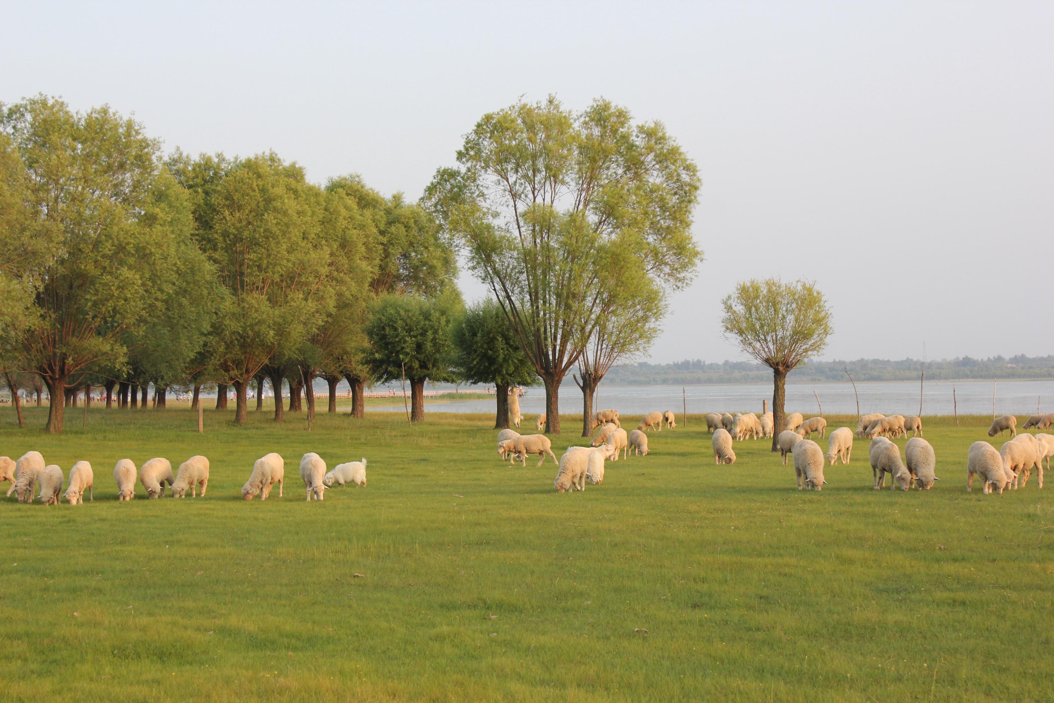  p>乌兰陶勒盖镇,隶属于 a href="#" data-lemmaid="49872215">内蒙古