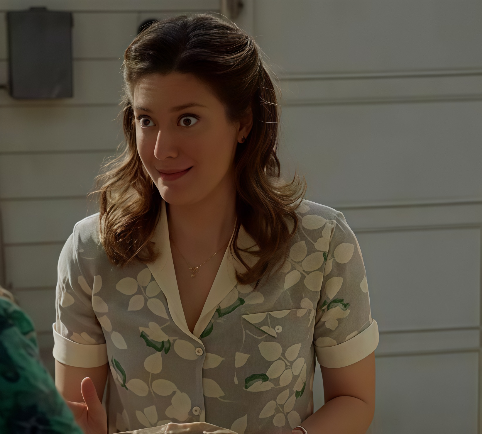 小谢尔顿第四季