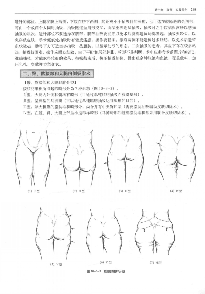  p> a target="_blank" href="/item/肩臀比/21516217" data-lemmaid=