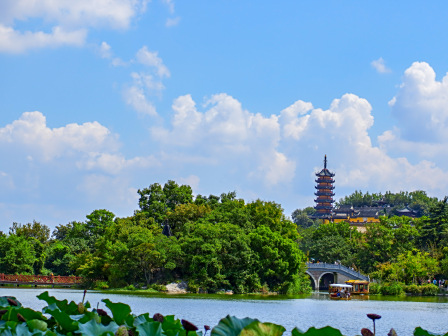 金山区风景