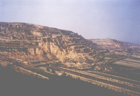 <p>西侯度遗址全景