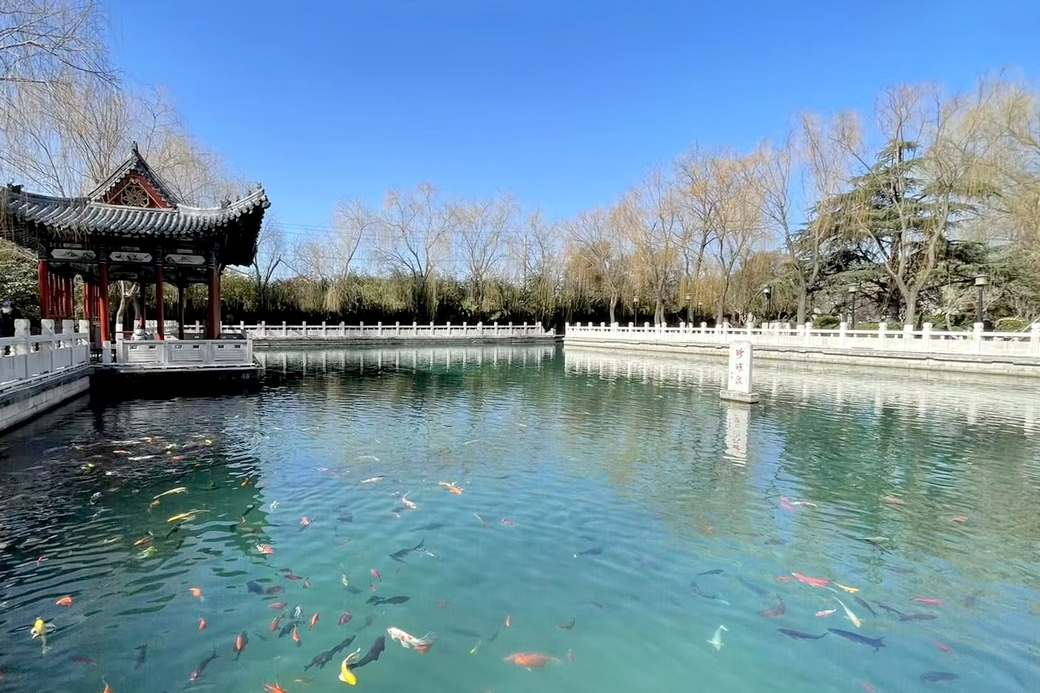 珍珠泉