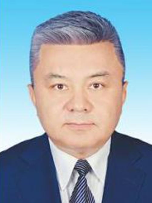 帕尔哈提·沙来