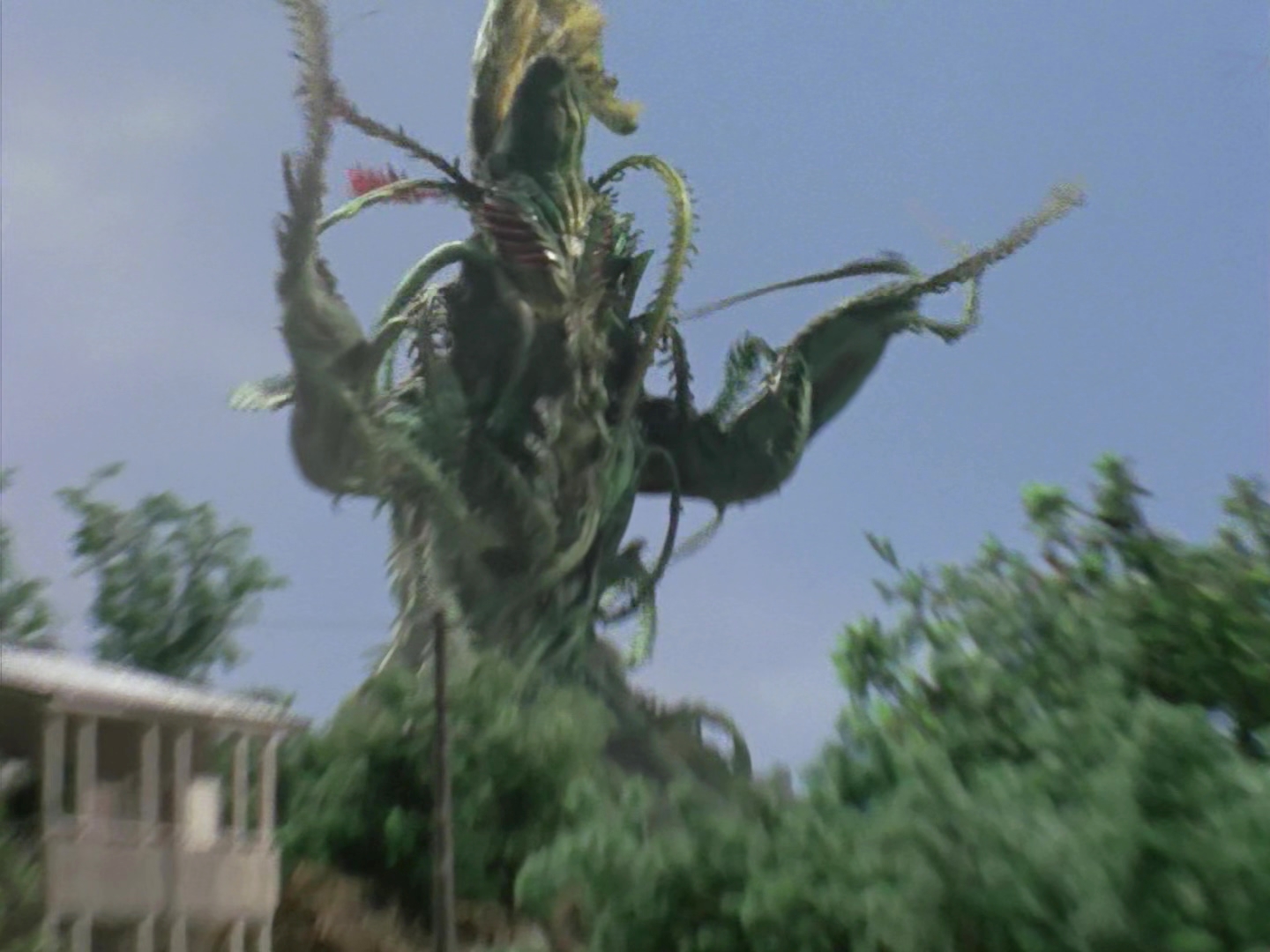 仿植物怪兽佐拉