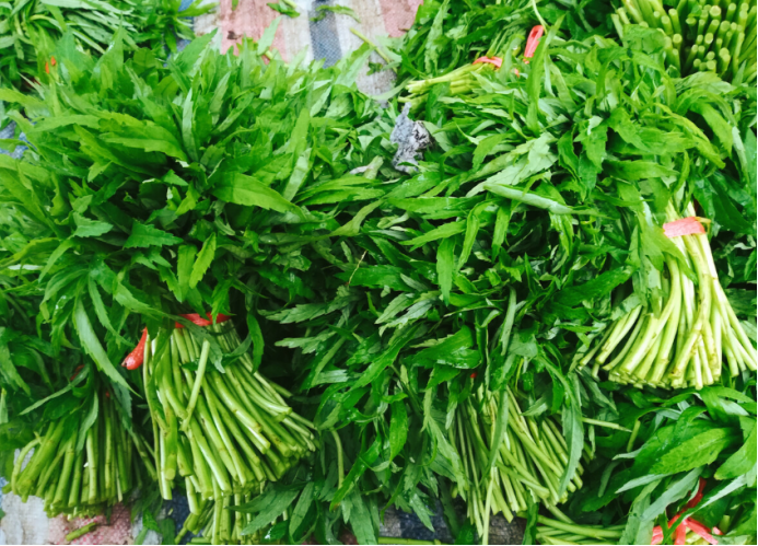 蒌蒿，还是叫泥蒿呢？_百科TA说