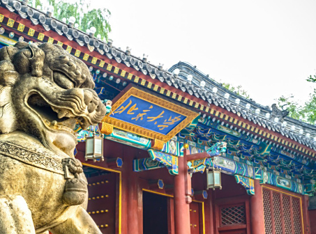 <p>北京大学