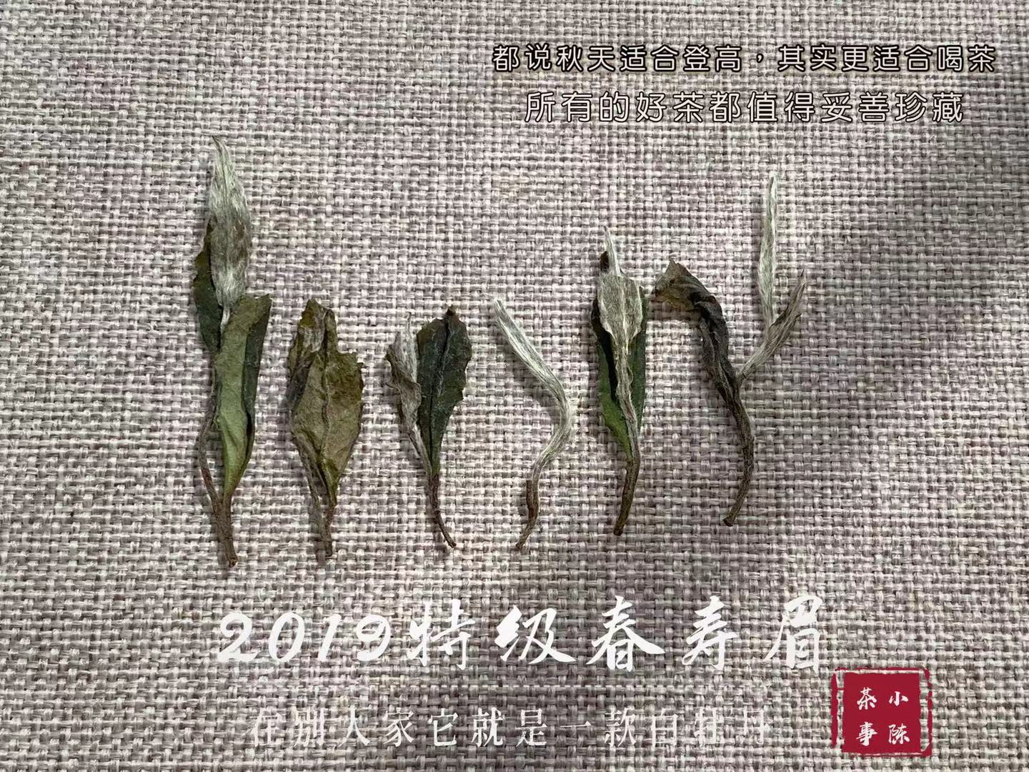 不是说白茶越老越好吗？为什么99%的10年以上老白茶，不值得买？_百科TA说