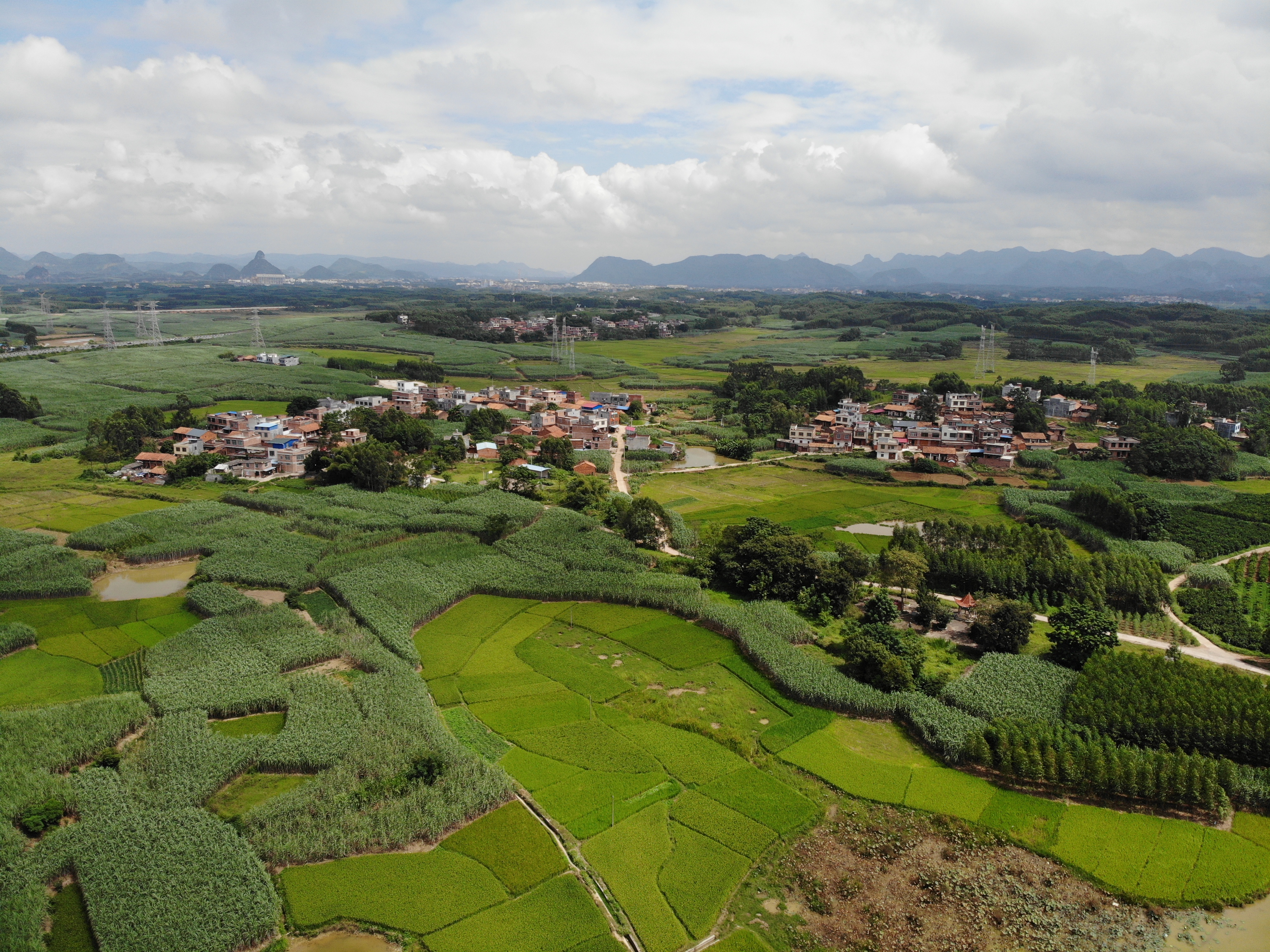  p>塘拉村,位置广西壮族自治区来宾市兴宾区迁江镇,离红水河距离约5