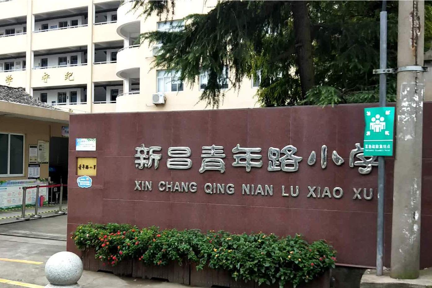 浙江新昌青年路小学