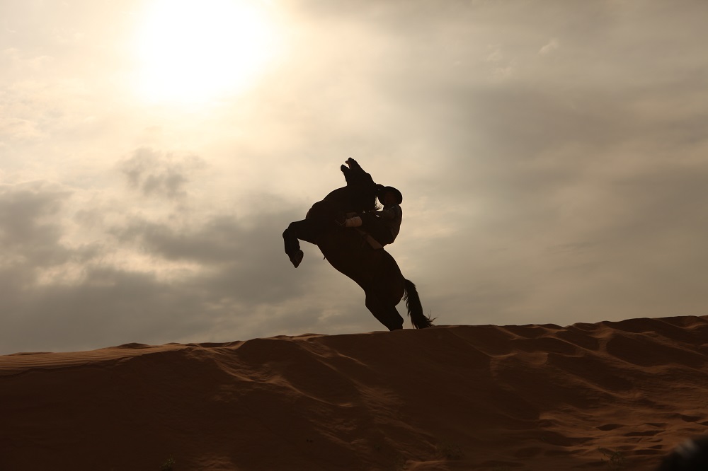 励志电影《 a target="_blank" href="/item/放飞吧梦想/20497296"